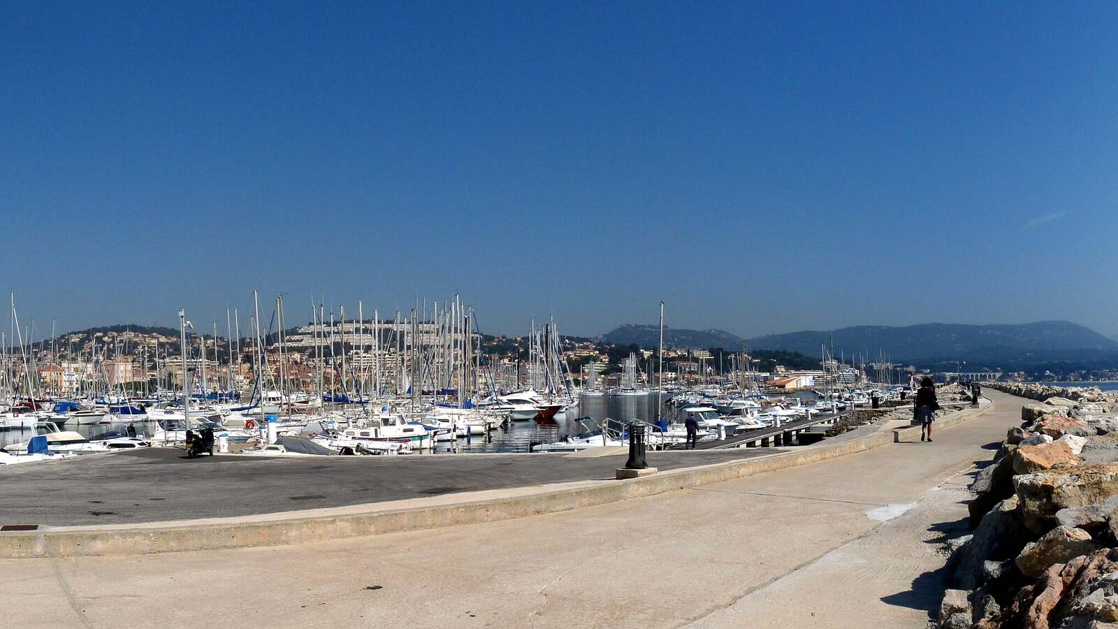 Vue du Port de Bandol