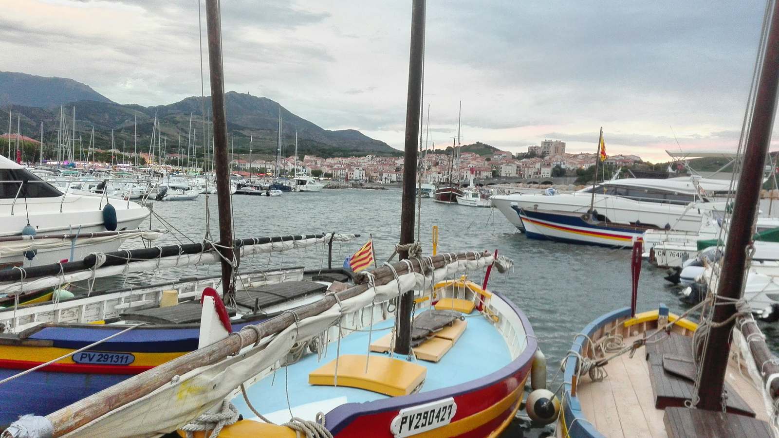 Vue du Port de Banyuls sur Mer