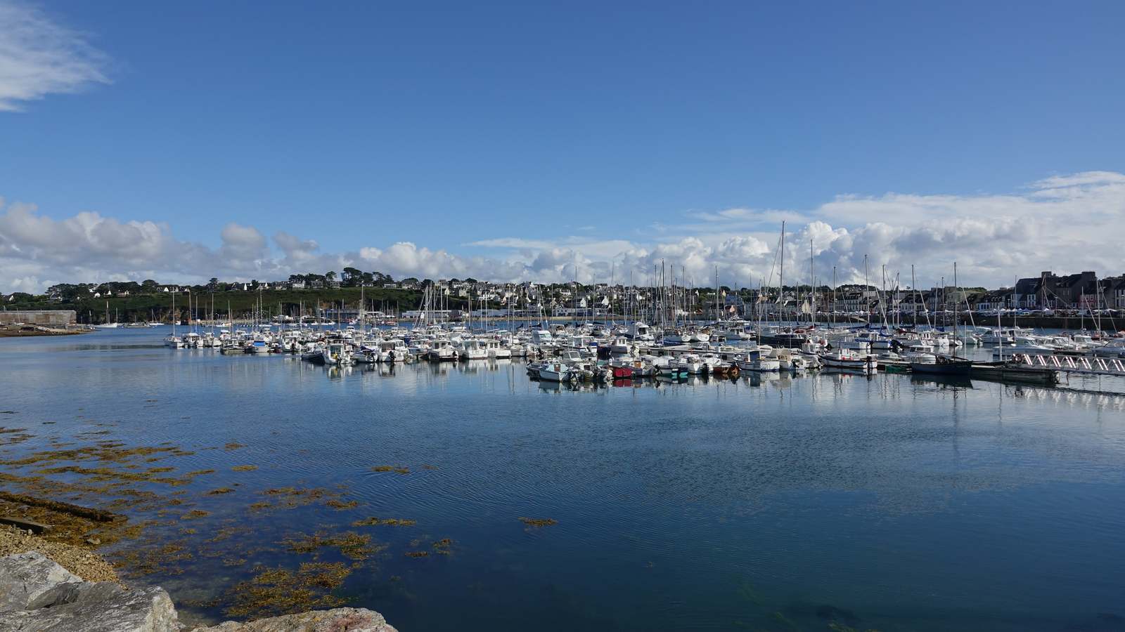Vue du Port de Camaret sur Mer