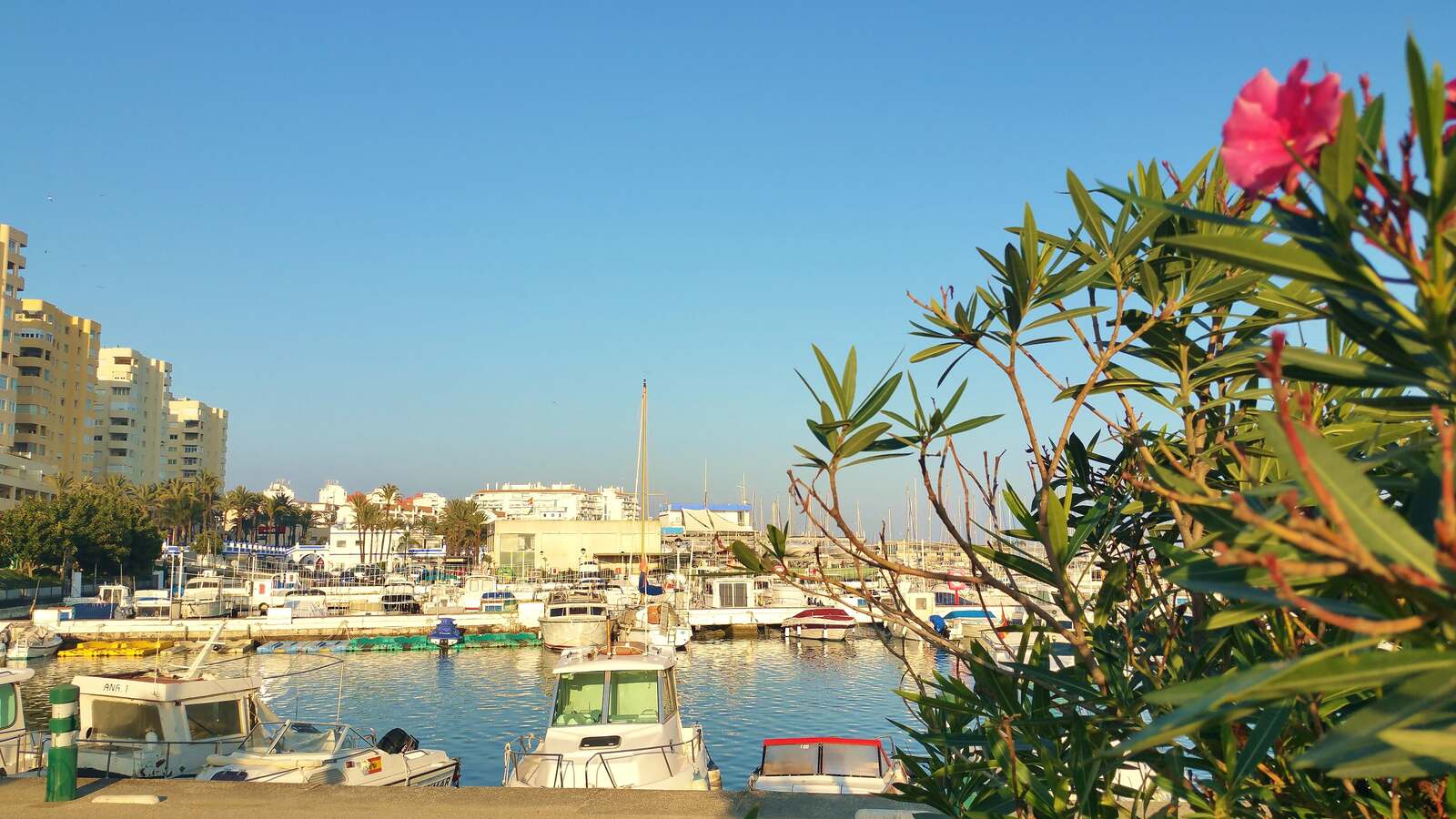 Vista de Puerto Deportivo de Estepona