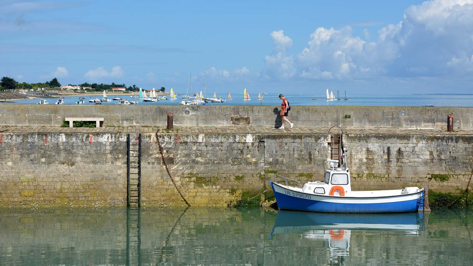 Vue du Port de La Flotte