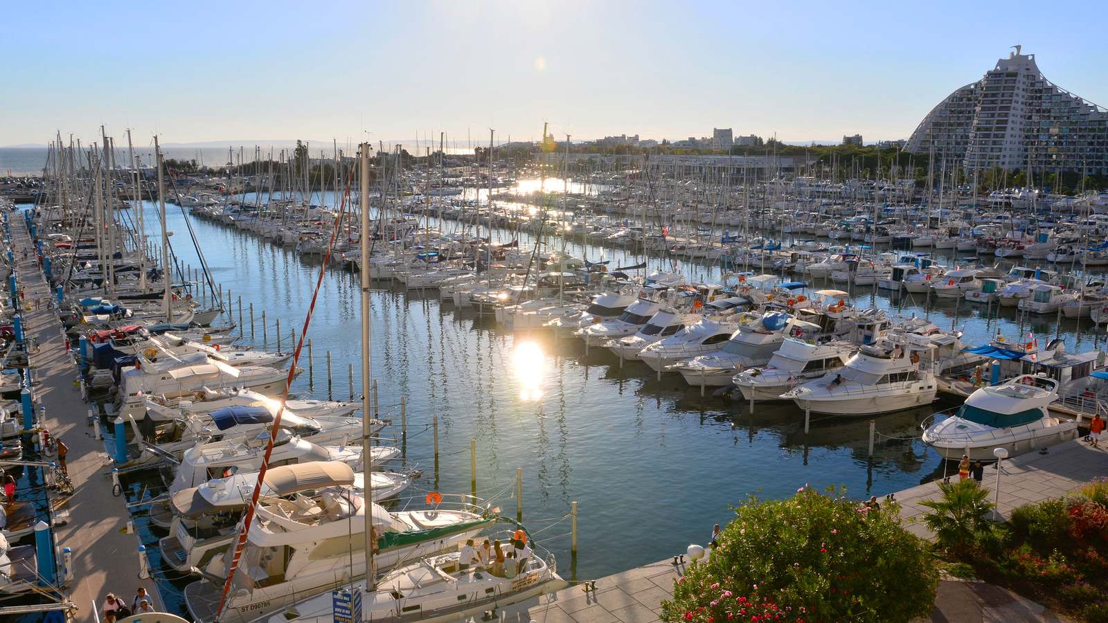 Vue du Port de La Grande Motte