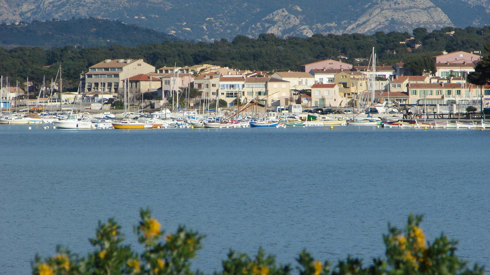 Vue du Port du Brusc