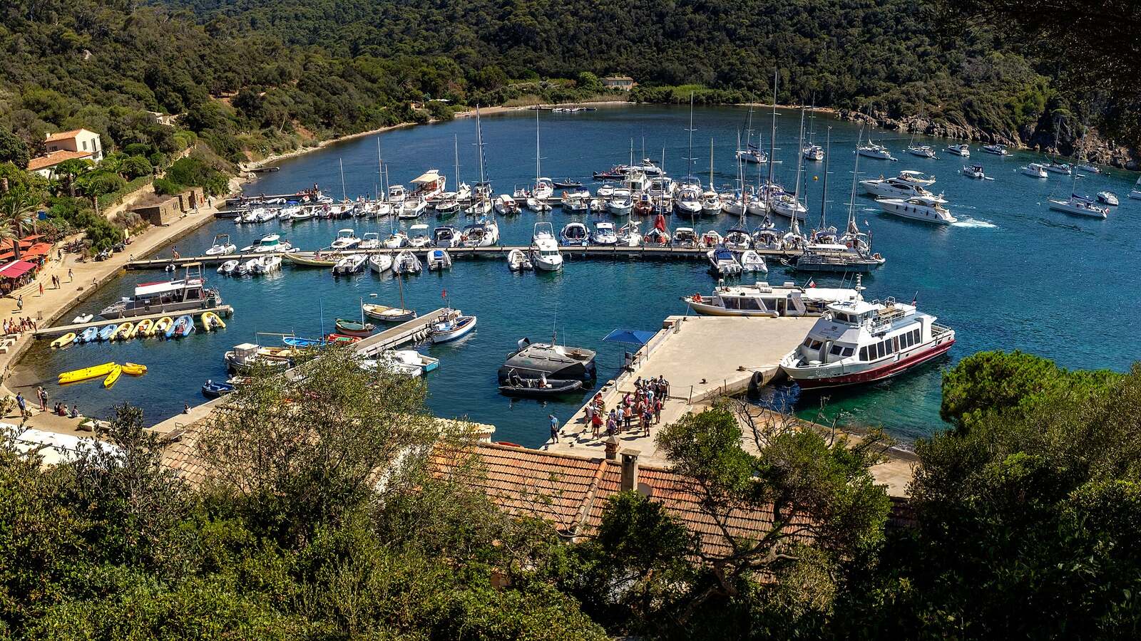 Vue du Port de Port-Cros