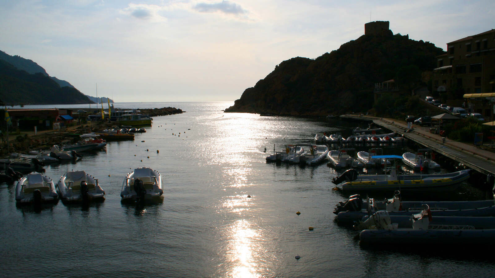 Vue du Port de Porto (Ota)