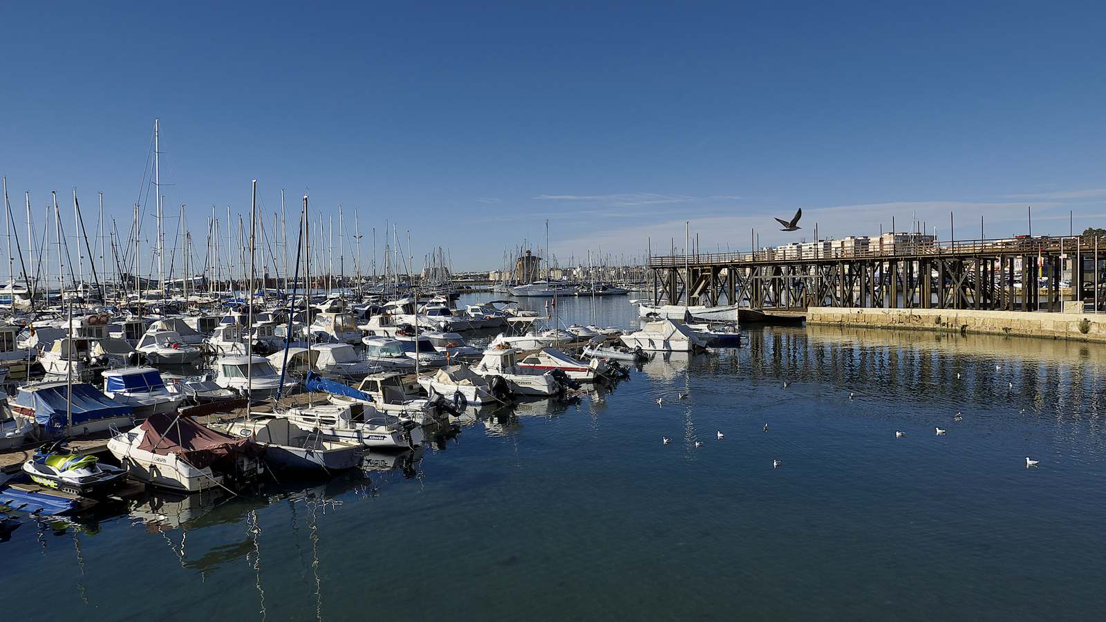 Vista de Marina Internacional de Torrevieja